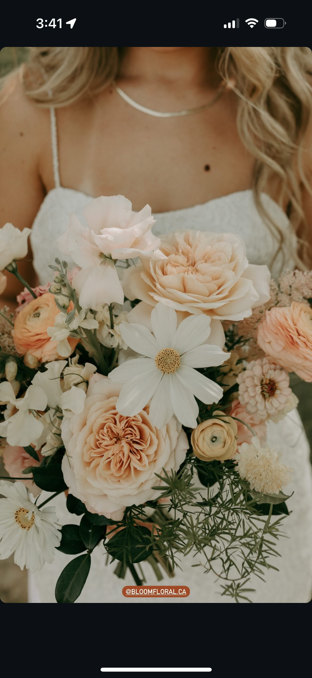 Summer Florals