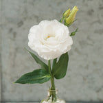 Boutonniere (White focal with custom accents)