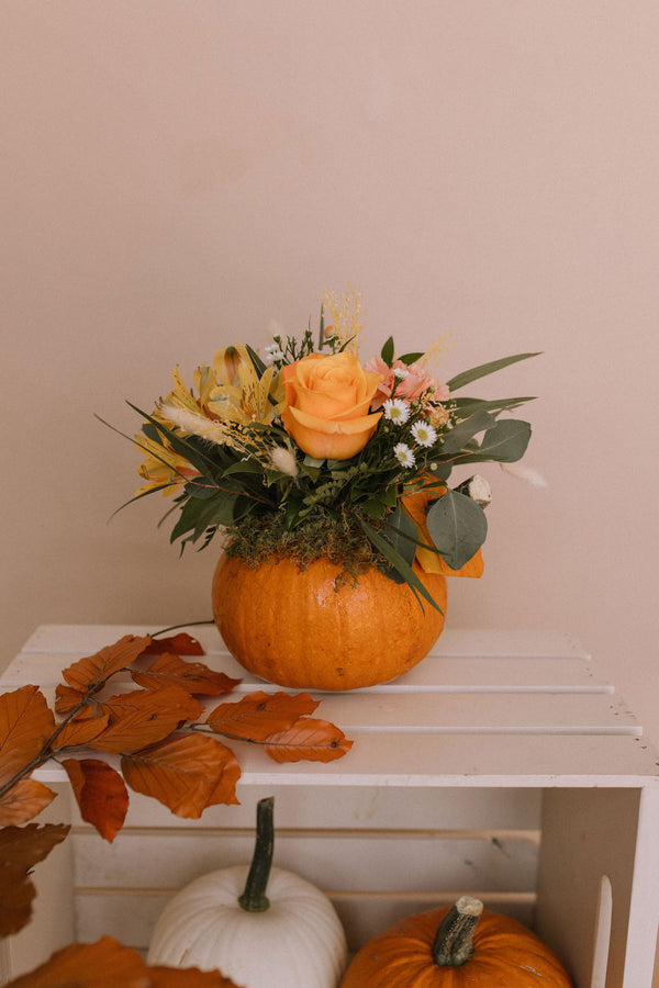 Pumpkin Spice