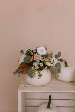 Cinderella's Pumpkin