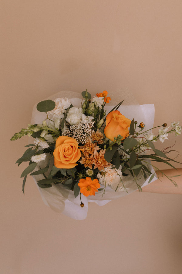 Apricot Delight