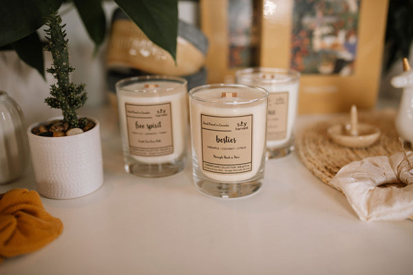 Fresh Soy Harvest Wood Wick Candle