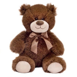 Classic Teddy Bear