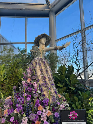 Fleurs De Villes - Wonders
