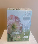 Amaryllis Bulb Kits