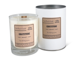 Fresh Soy Harvest Wood Wick Candle