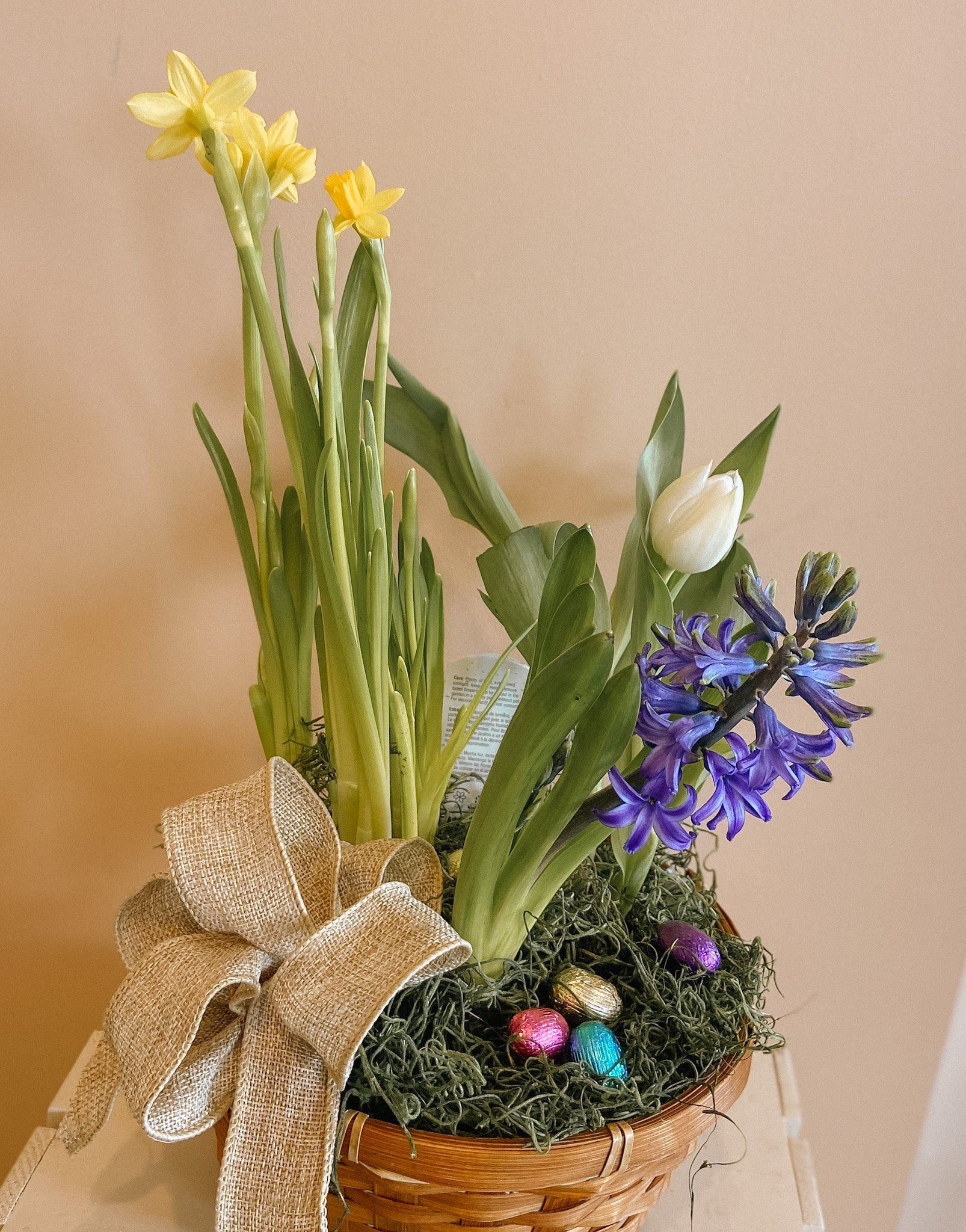 Spring Bulb Garden