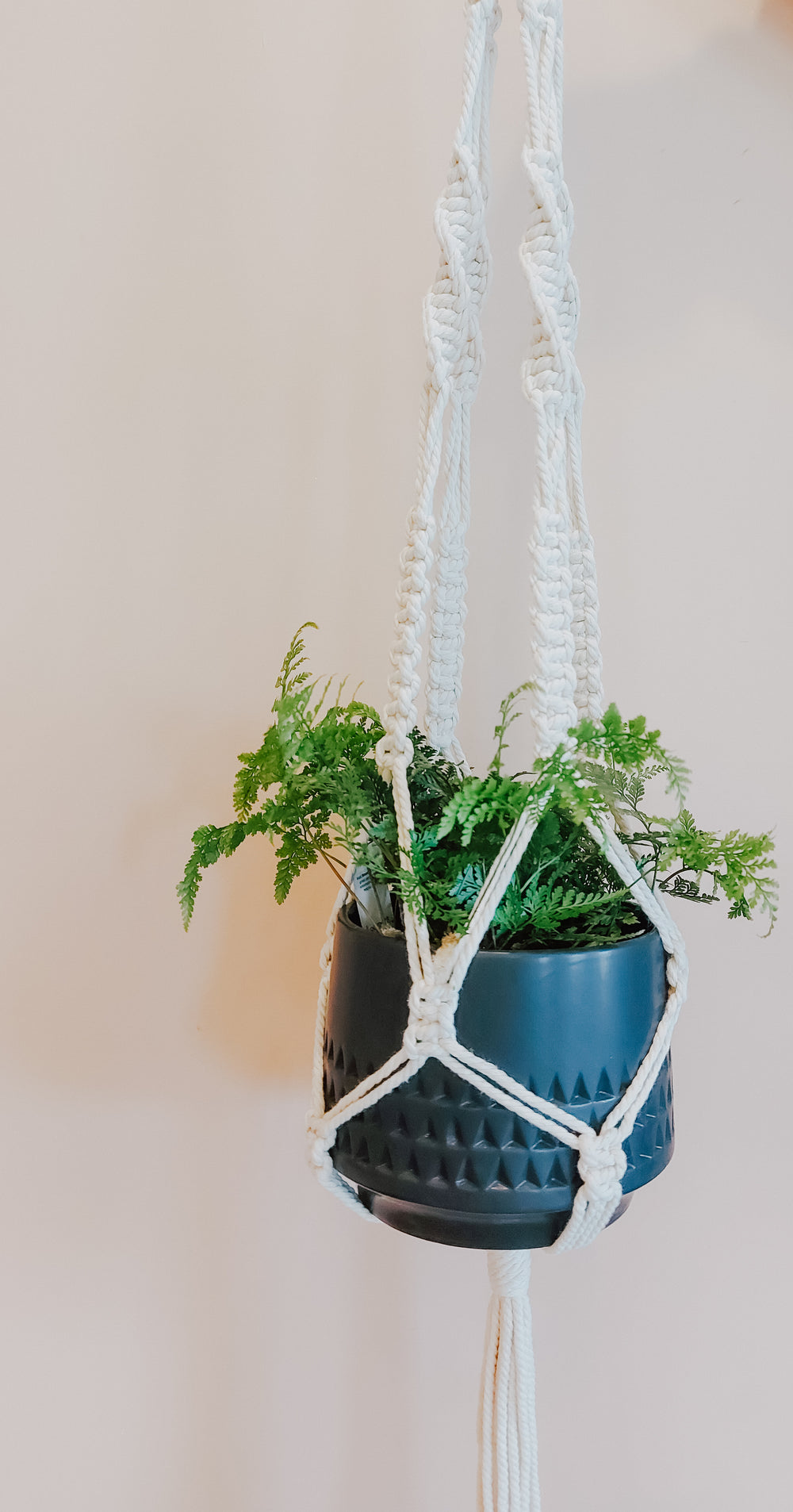Macrame plant hangers