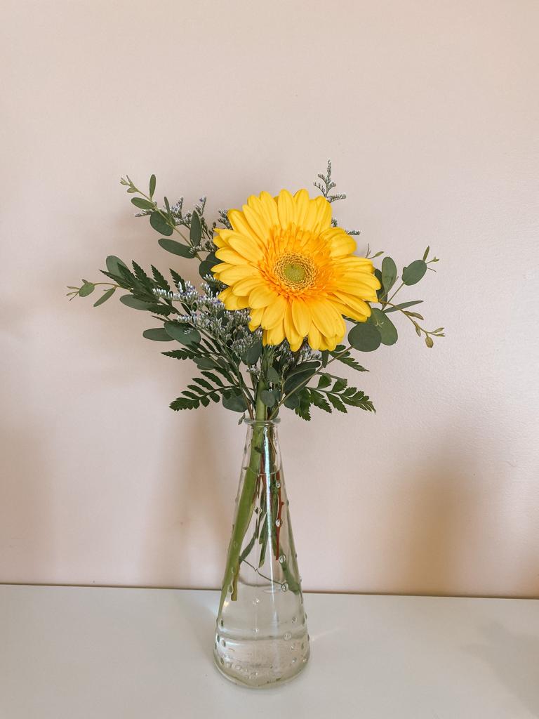 Gerbera Daisy Delight
