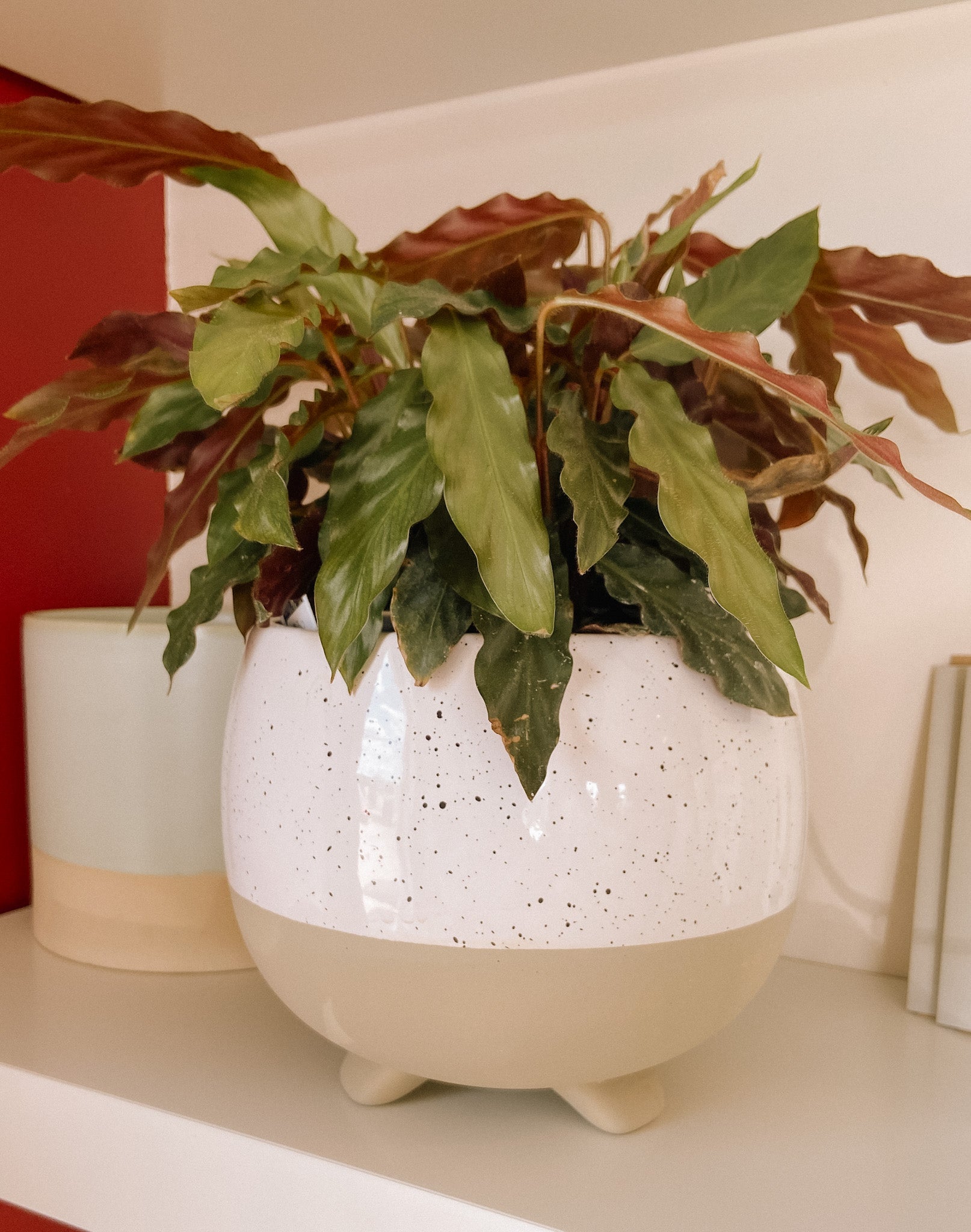 Footed Speckled Pot