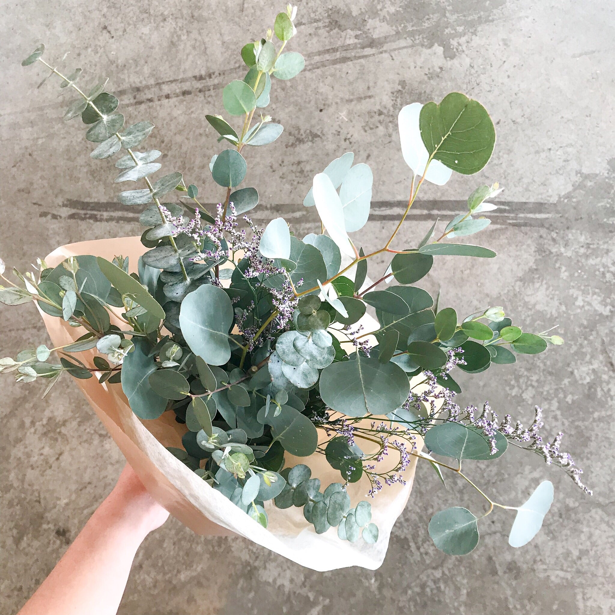 Freshen Up! Eucalyptus Bundle