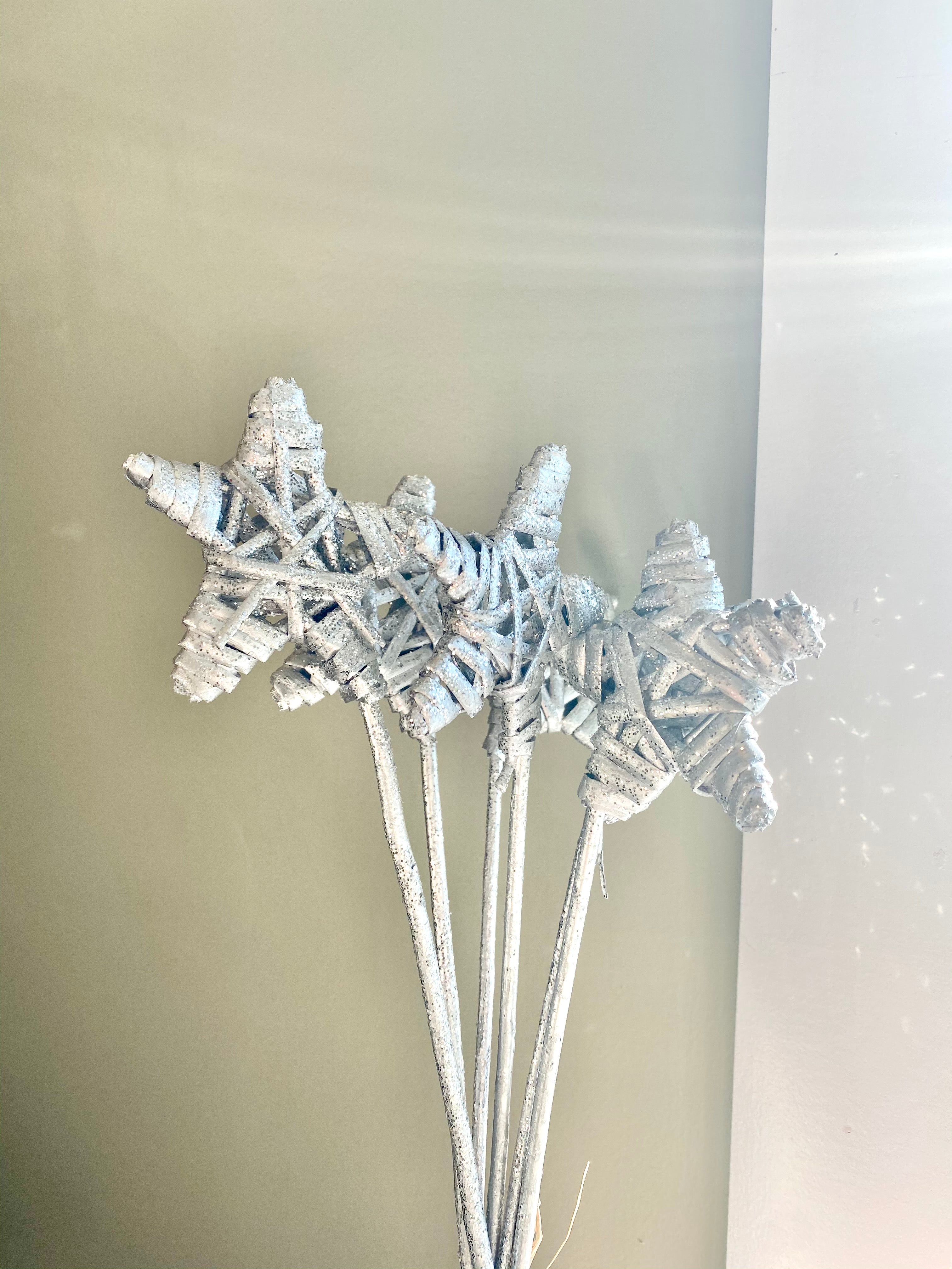 Glitter Star Picks