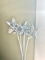Glitter Star Picks